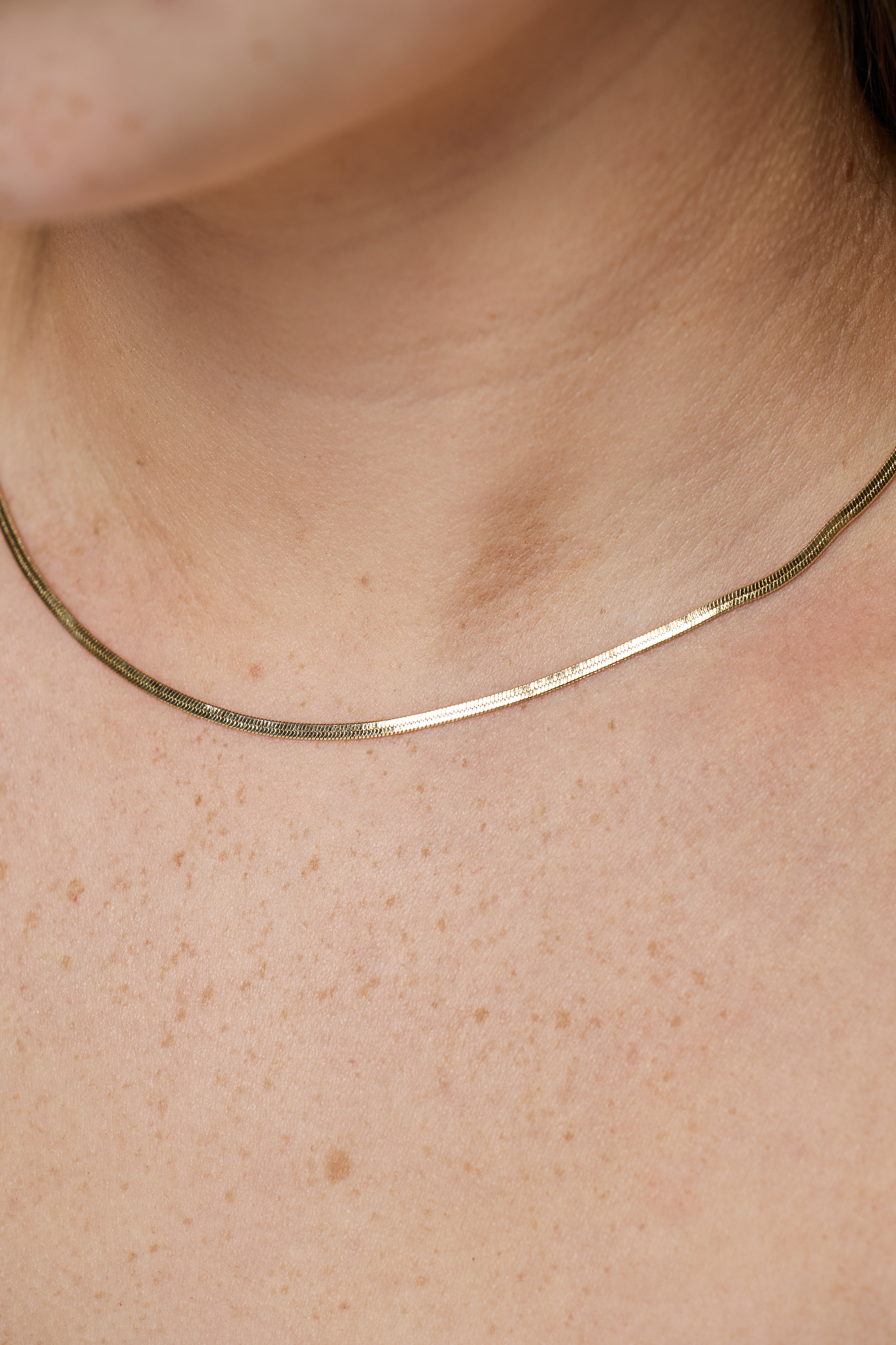 Alex Herringbone Necklace