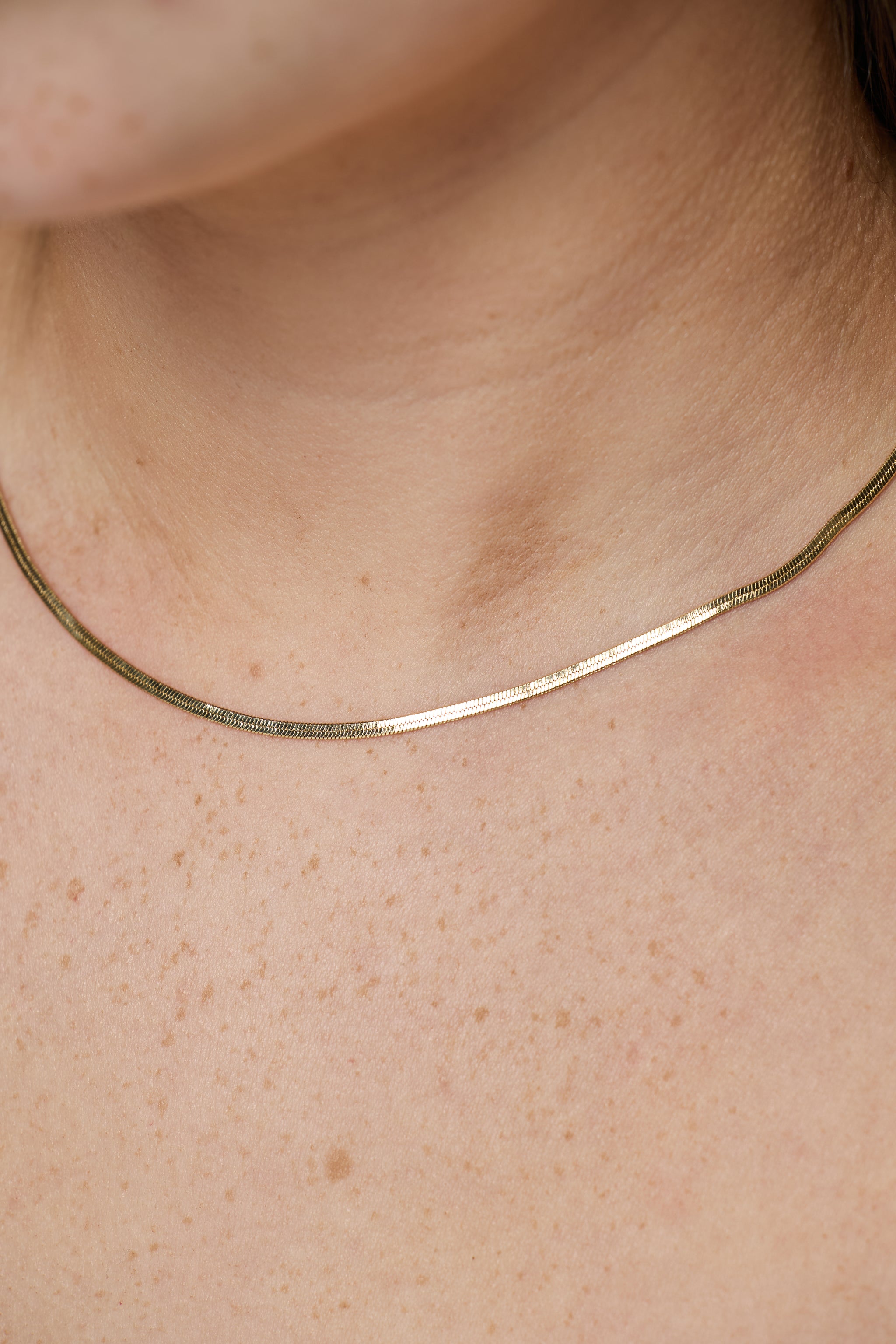 Alex Herringbone Necklace